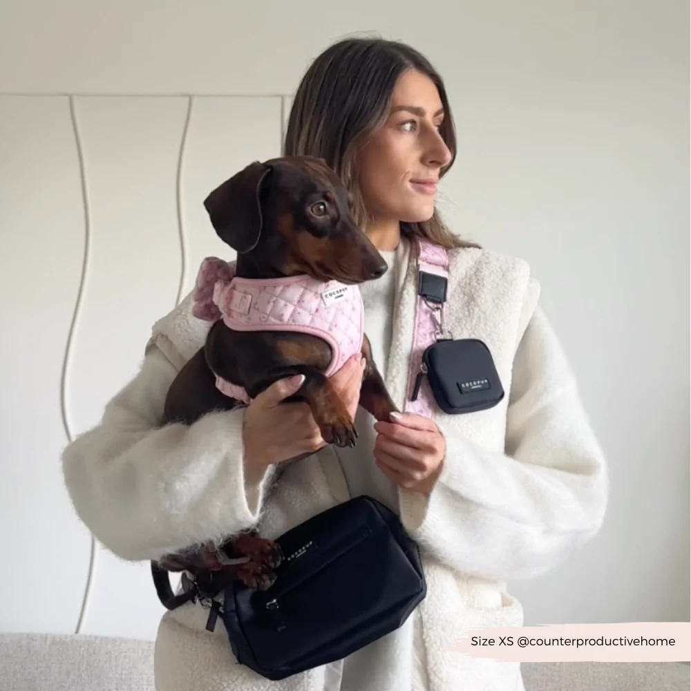 Dog Walking Bag Bundle - Quilted Ditsy Floral Pink - Image 6