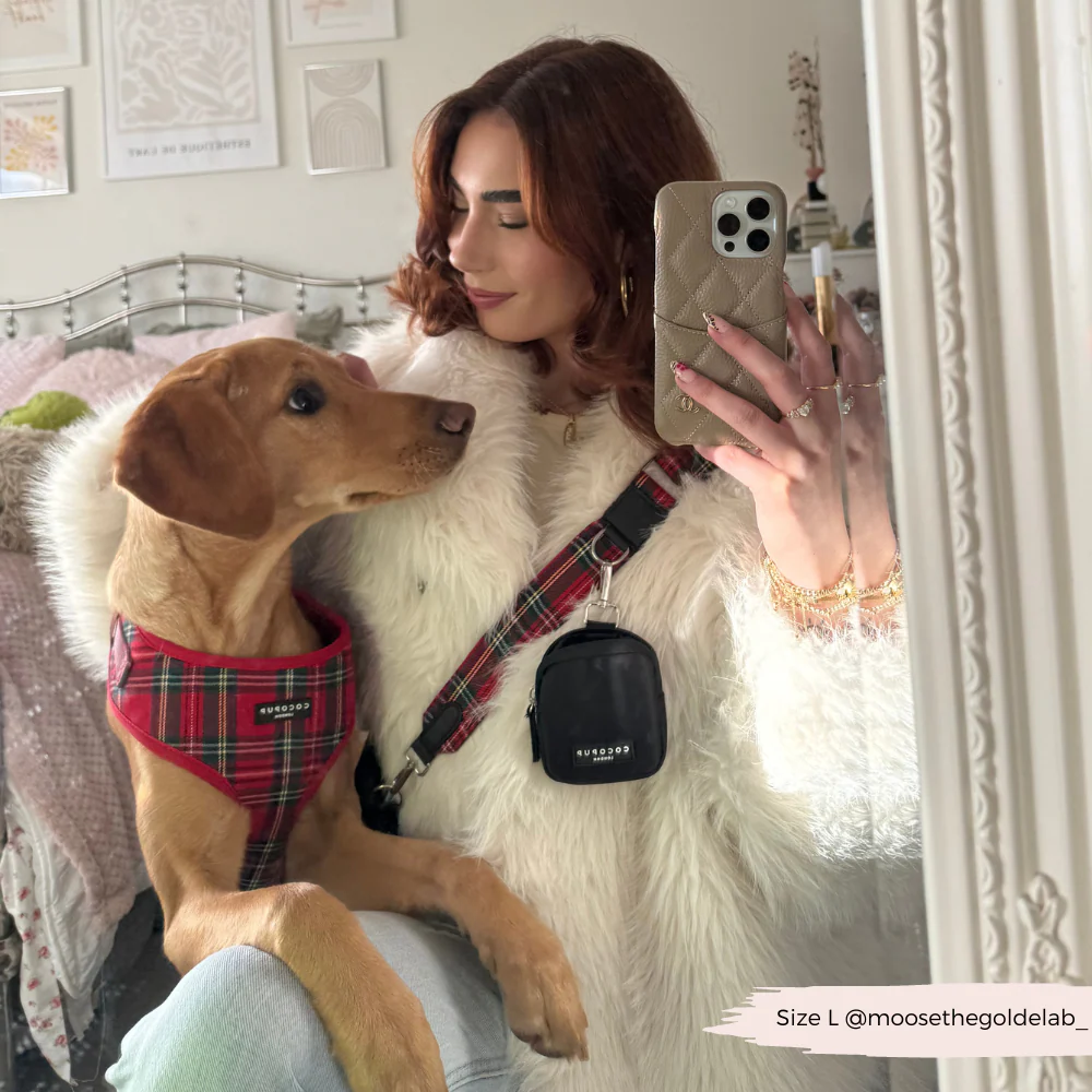Dog Walking Bag Bundle - Tartan - Image 8