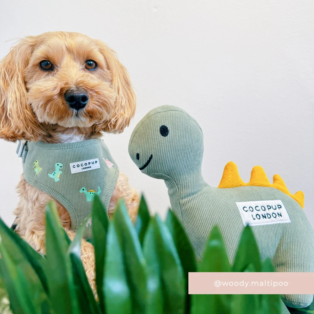 Doodles the Dinosaur Dog Toy - Image 3
