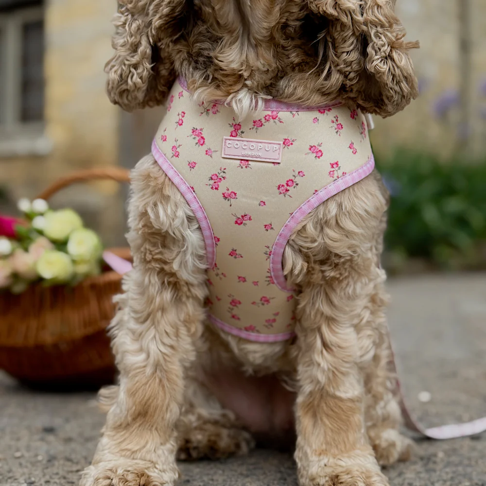 English Rose Adjustable Neck Harness, Lead & Collar Bundle - Image 10