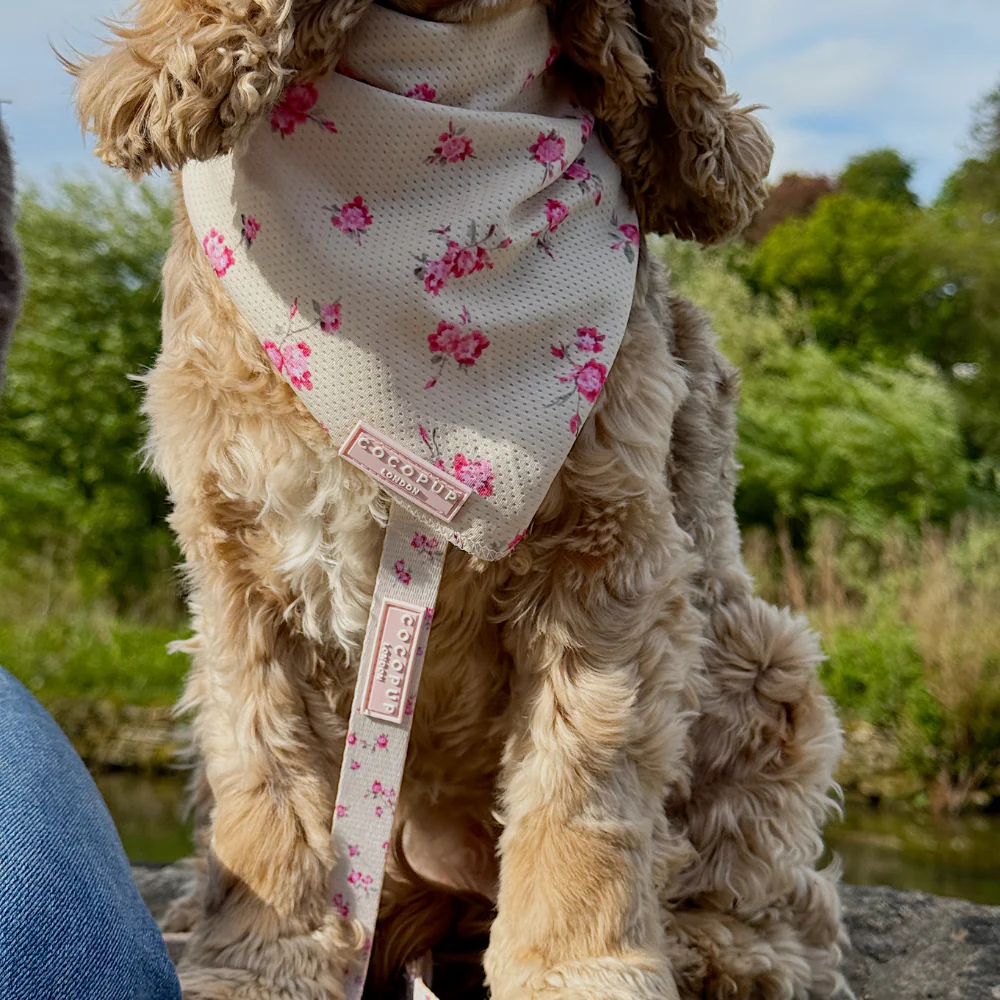 English Rose Bandana - Image 3