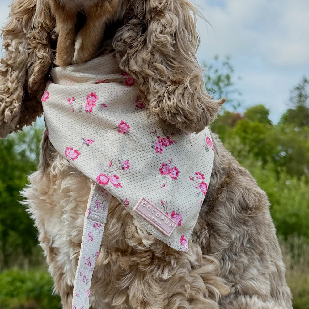 English Rose Bandana - Image 4