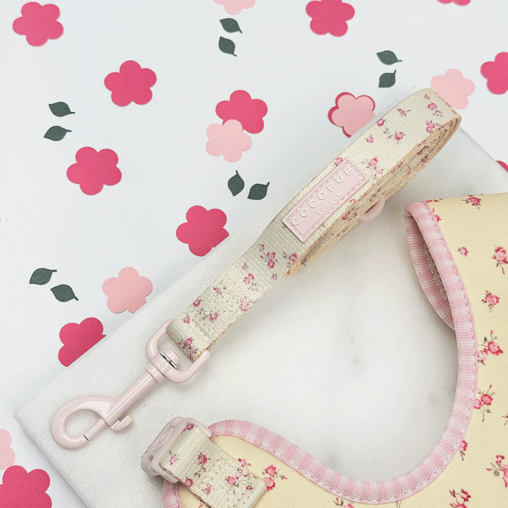 English Rose Lead