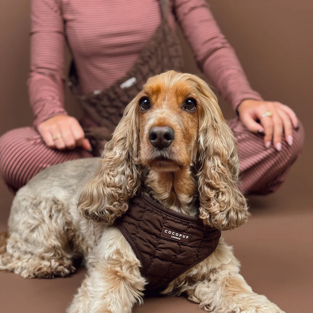 Espresso Quilted Adjustable Neck HARNESS - Image 10