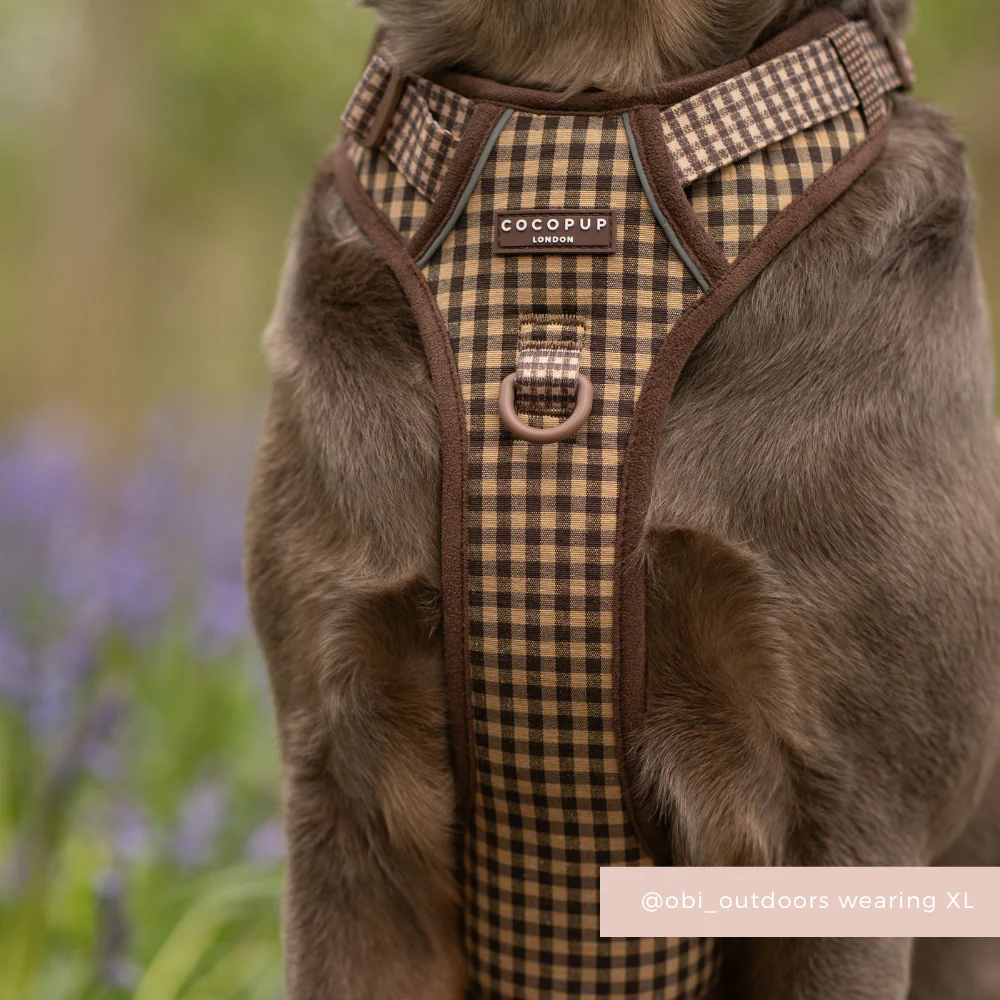 Explore Harness - Cotswold Check - Image 11
