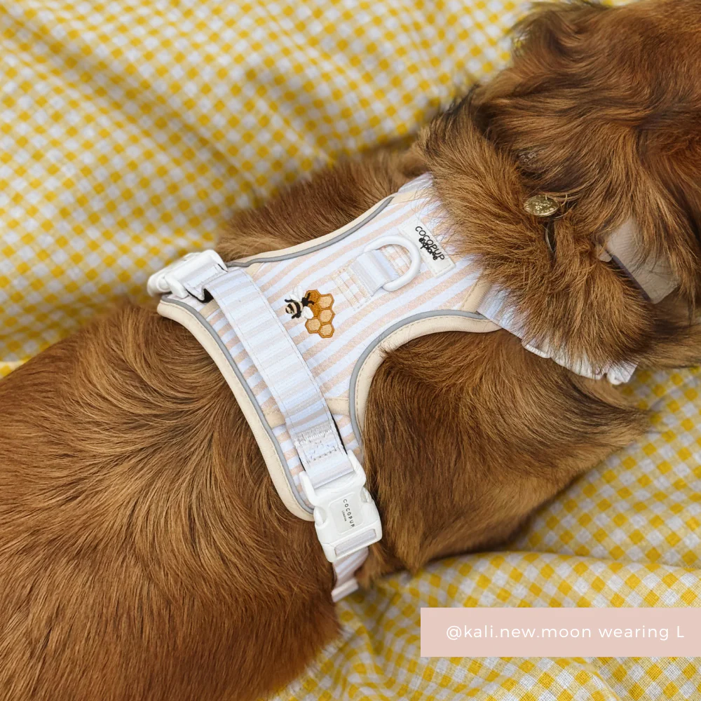 Explore Harness - Honey Meadow - Image 7