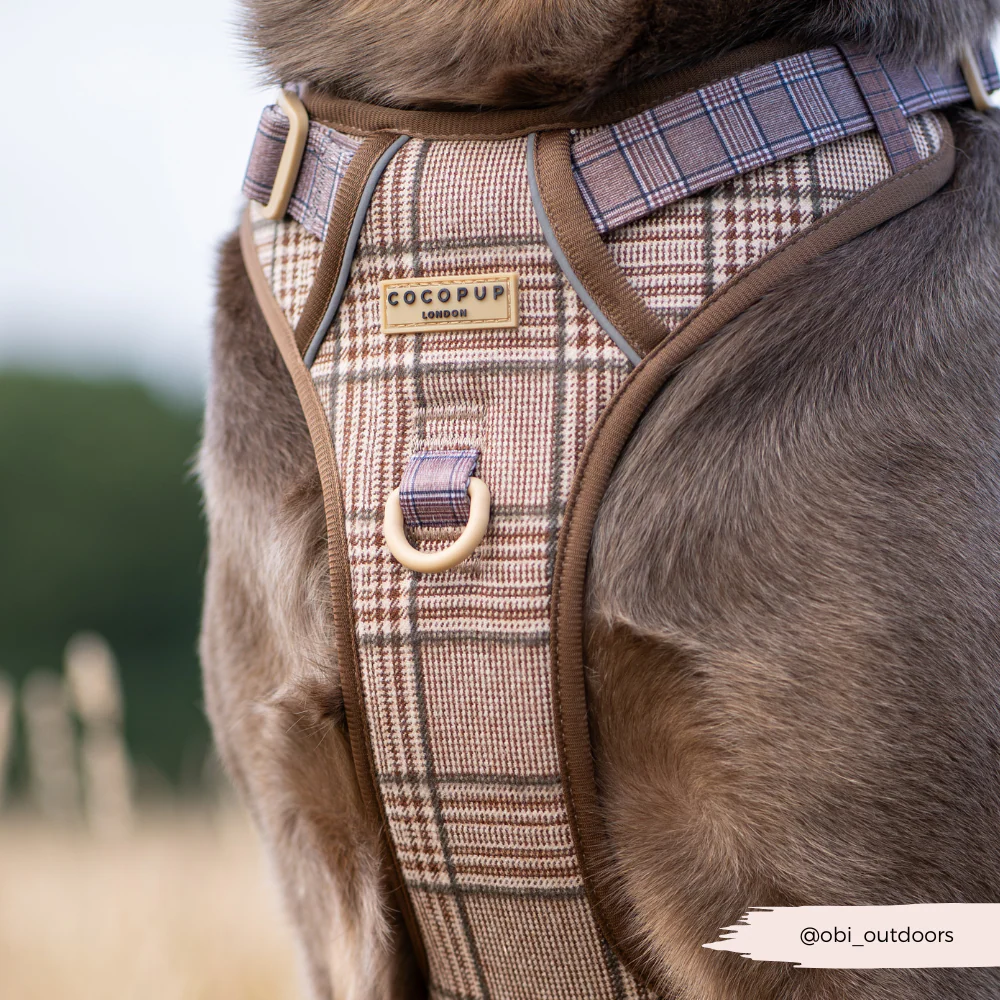 Explore Harness - Pup Plaid - Image 24