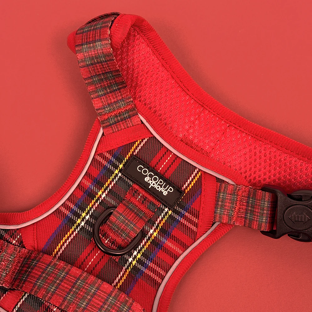 Explore Harness - Tartan - Image 3
