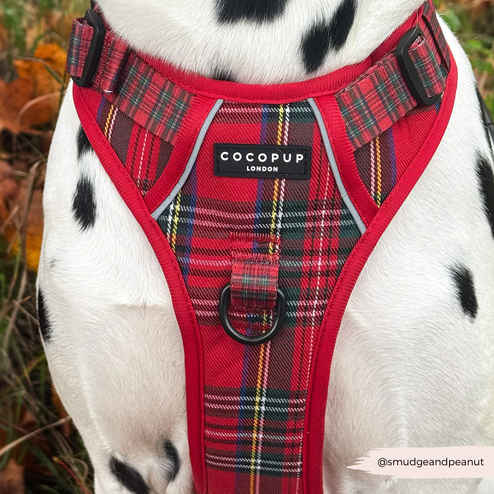 Explore Harness - Tartan - Image 6