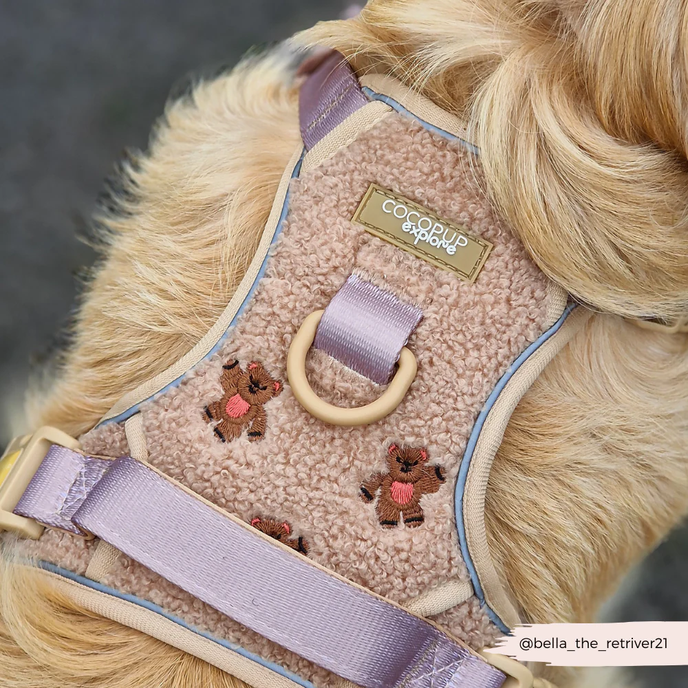 Explore Harness - Theo Embroidered Teddy - Image 5