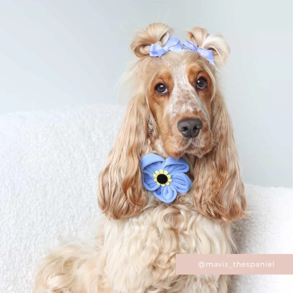 Forget Me Not Collar Flower - Image 9
