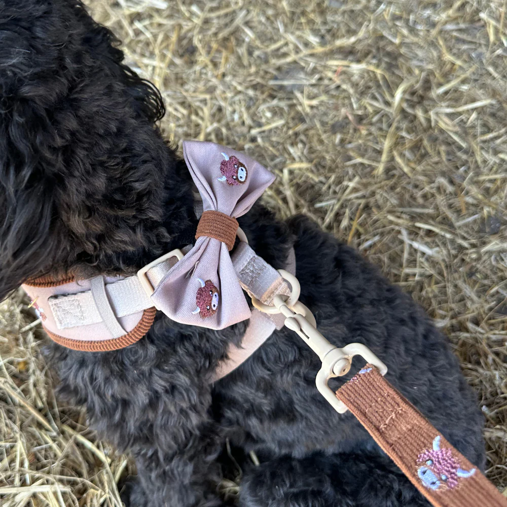 Harold the Highland Cow Bow Tie - Image 3