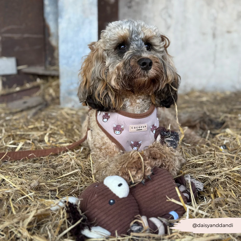Harold the Highland Cow Toy - Image 6