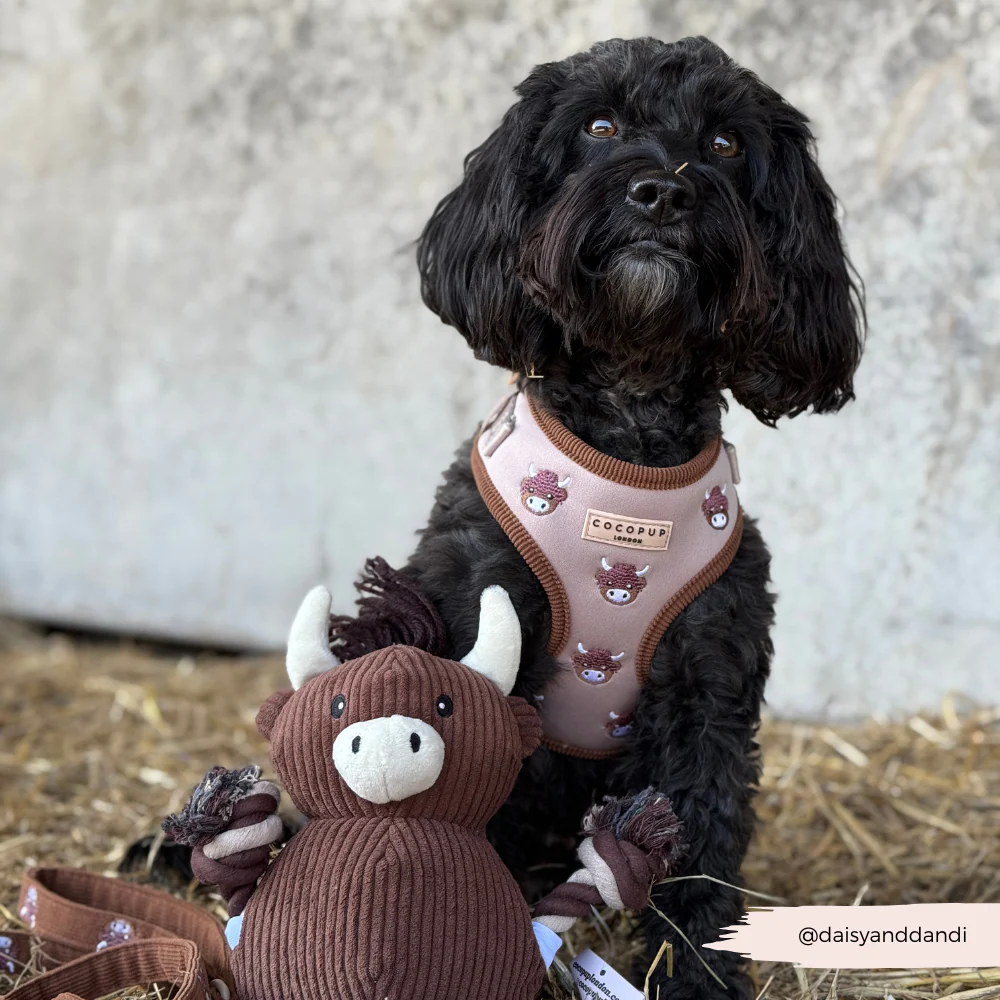 Harold the Highland Cow Toy - Image 7