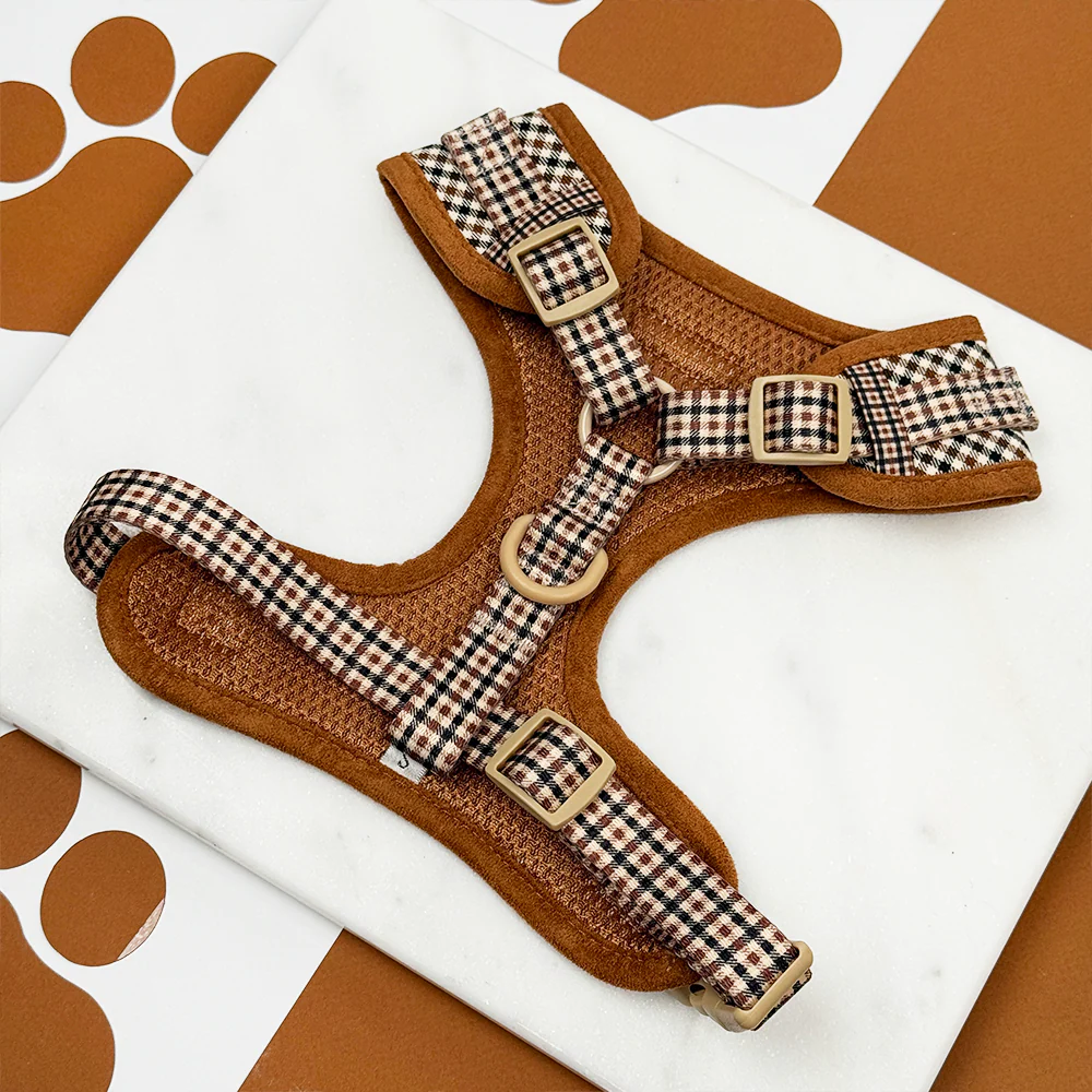 Heritage Check Adjustable Neck HARNESS - Image 5