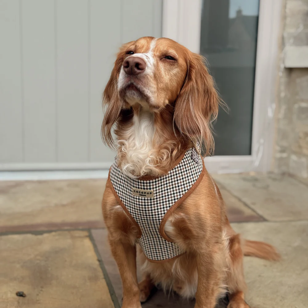 Heritage Check Adjustable Neck HARNESS - Image 3