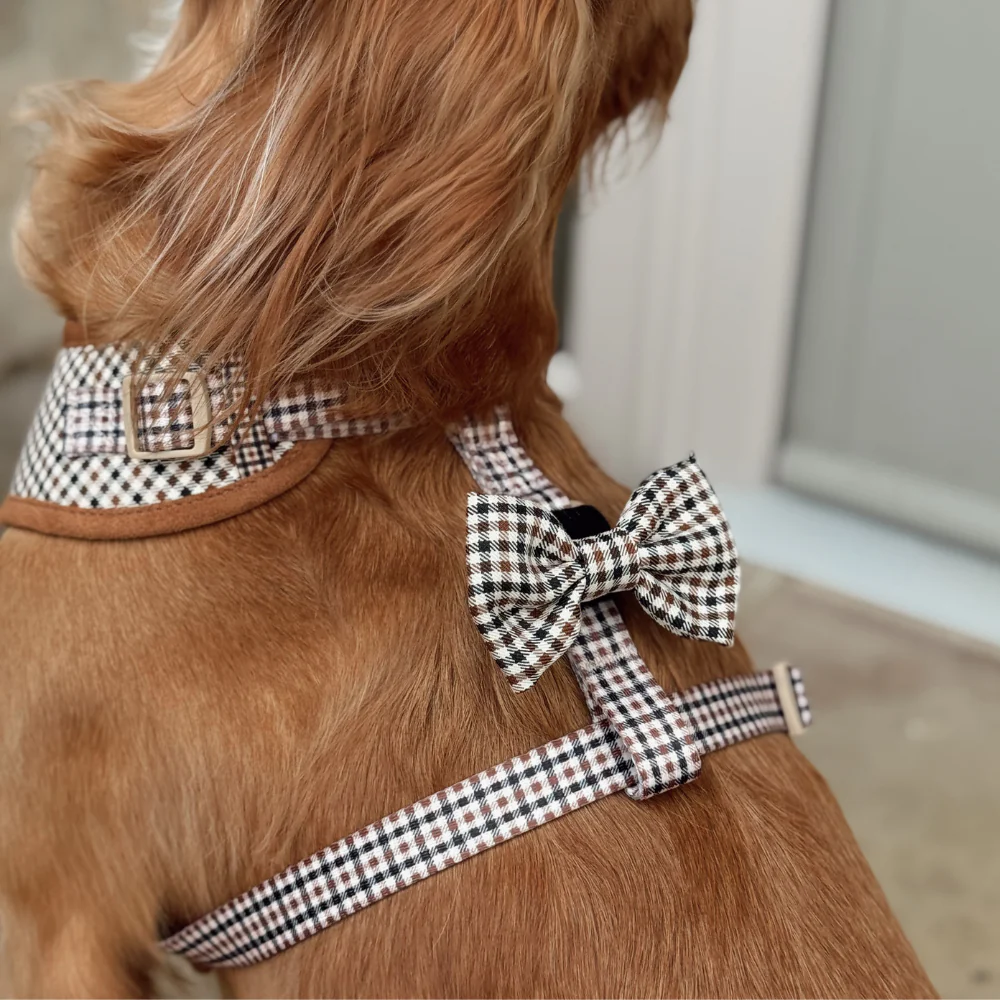 Heritage Check Bow Tie - Image 2