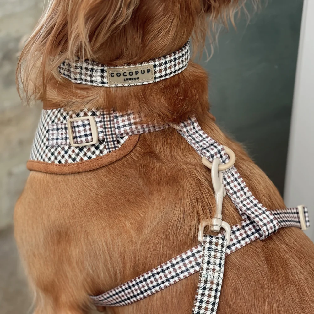 Heritage Check COLLAR - Image 2