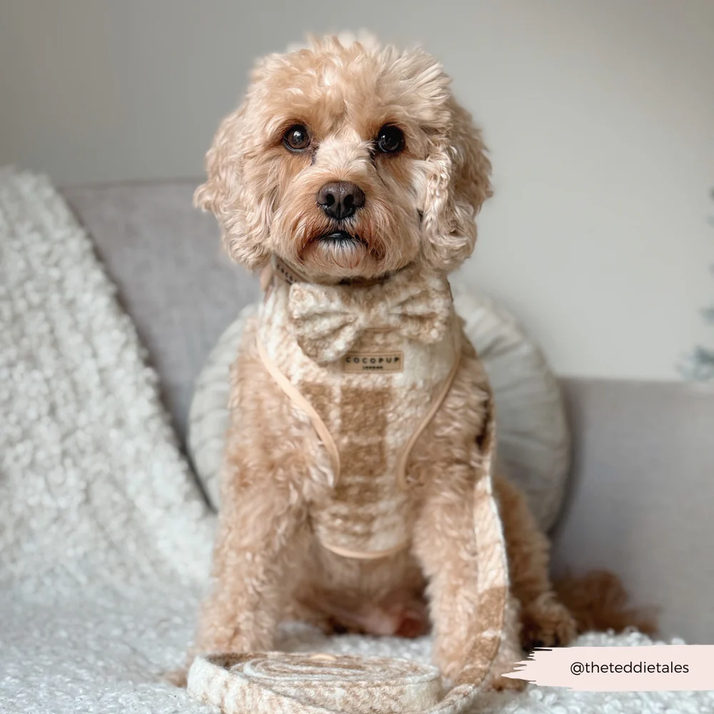 Highland Fleece Bow Tie - Oatmeal - Image 4