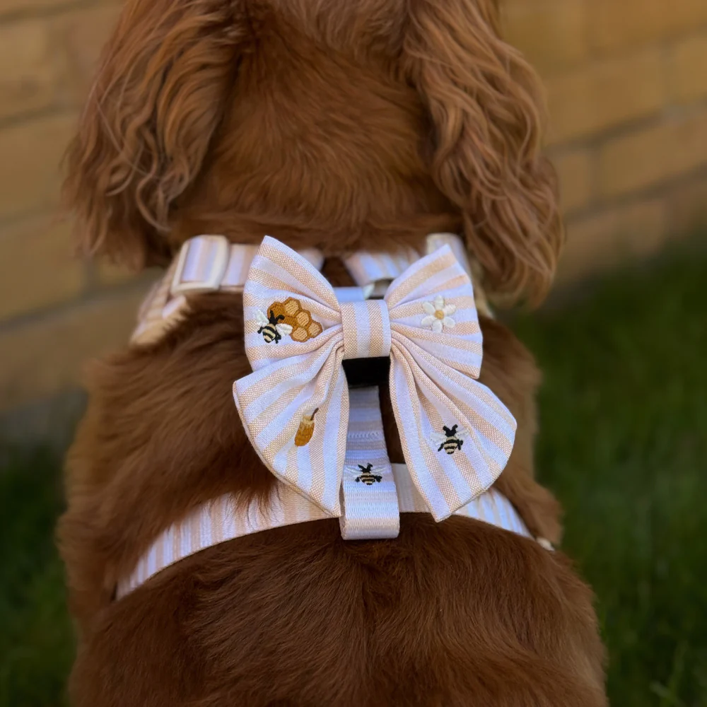 Honey Meadow Sailor Bow Tie - Image 4