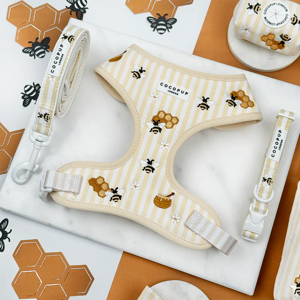 Honey Meadow Adjustable Neck Harness, Lead & Collar Bundle