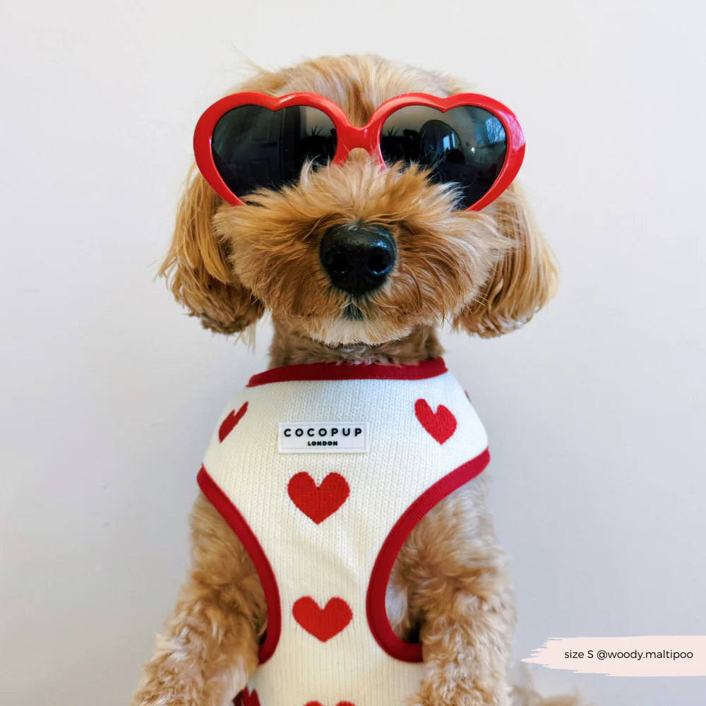 Hugs & Knitted Adjustable Neck Harness, Lead & Collar Bundle - Image 16