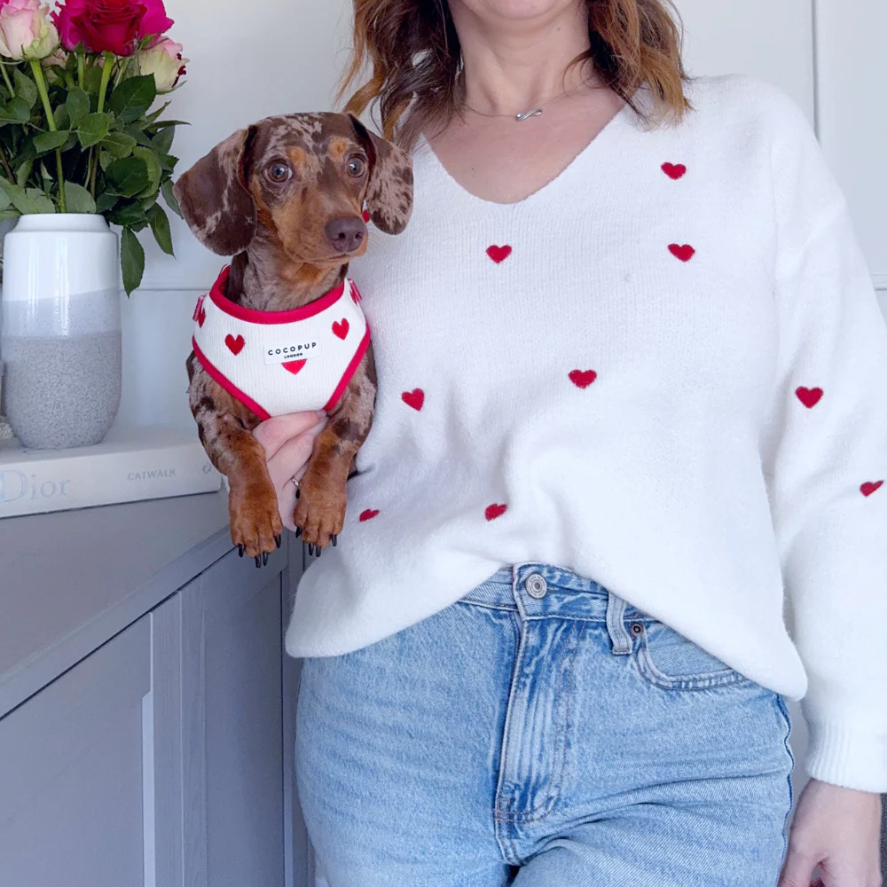 Hugs & Knitted Adjustable Neck Harness, Lead & Collar Bundle - Image 28