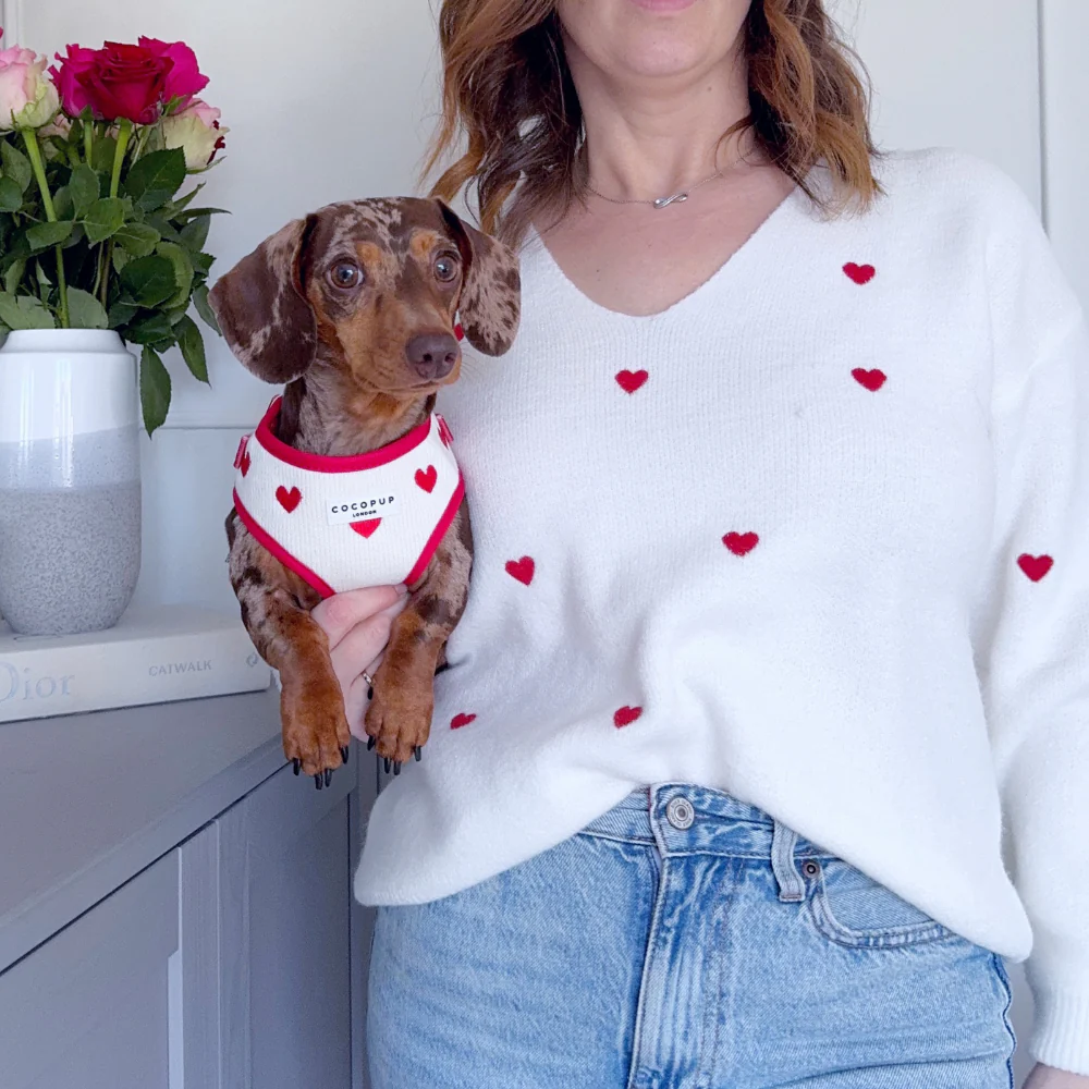 Hugs & Knitted Adjustable Neck Harness, Lead & Collar Bundle - Image 31