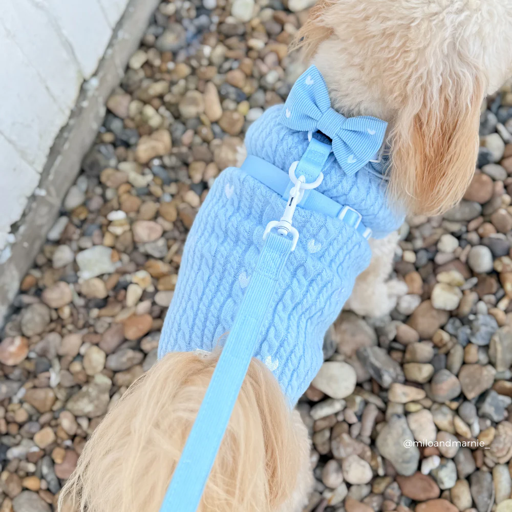 Blue Heartstrings Cord Lead - Image 3