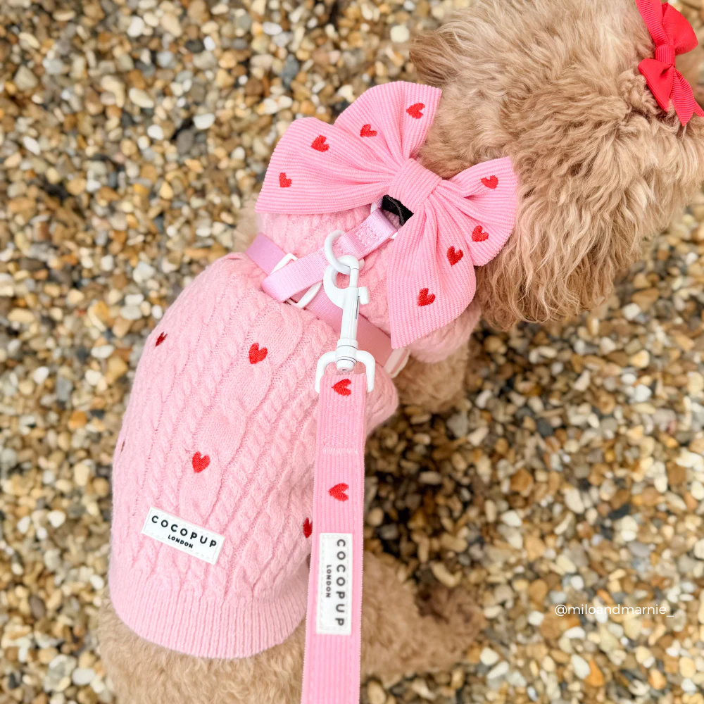 Pink Heartstrings Cord Lead - Image 3
