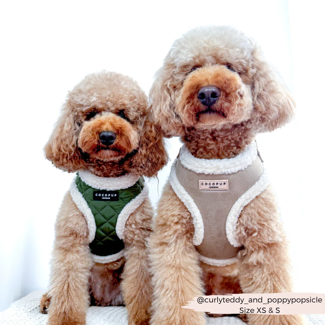 Khaki Quilted Adjustable Neck HARNESS - Image 10