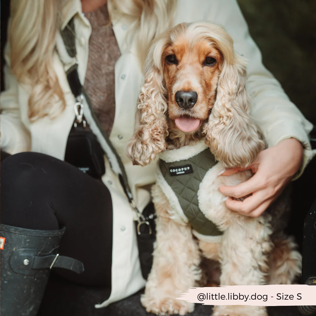 Khaki Quilted Adjustable Neck HARNESS - Image 7