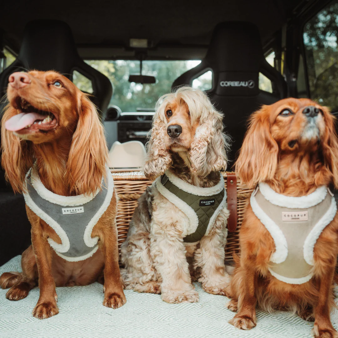 Khaki Quilted Adjustable Neck HARNESS - Image 8