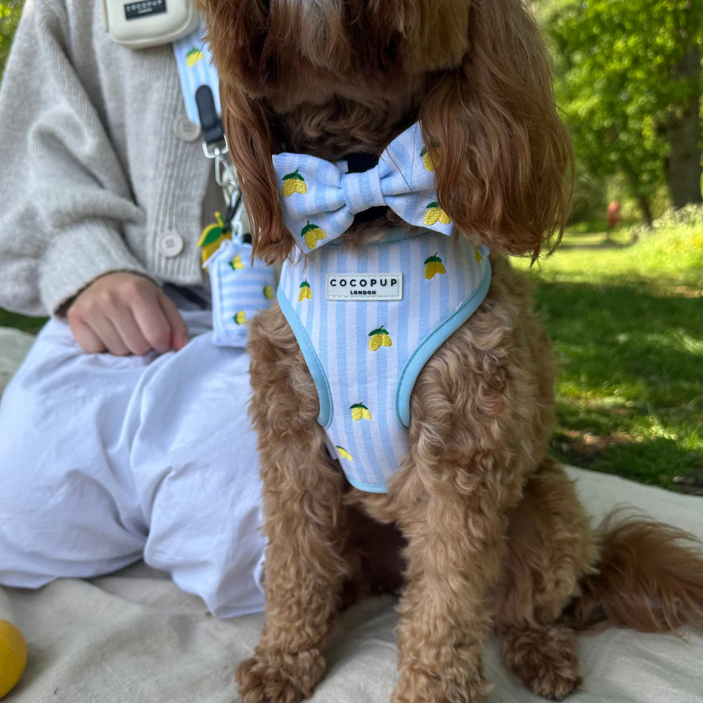 Living La Vida Lemon Adjustable Neck HARNESS - Image 14