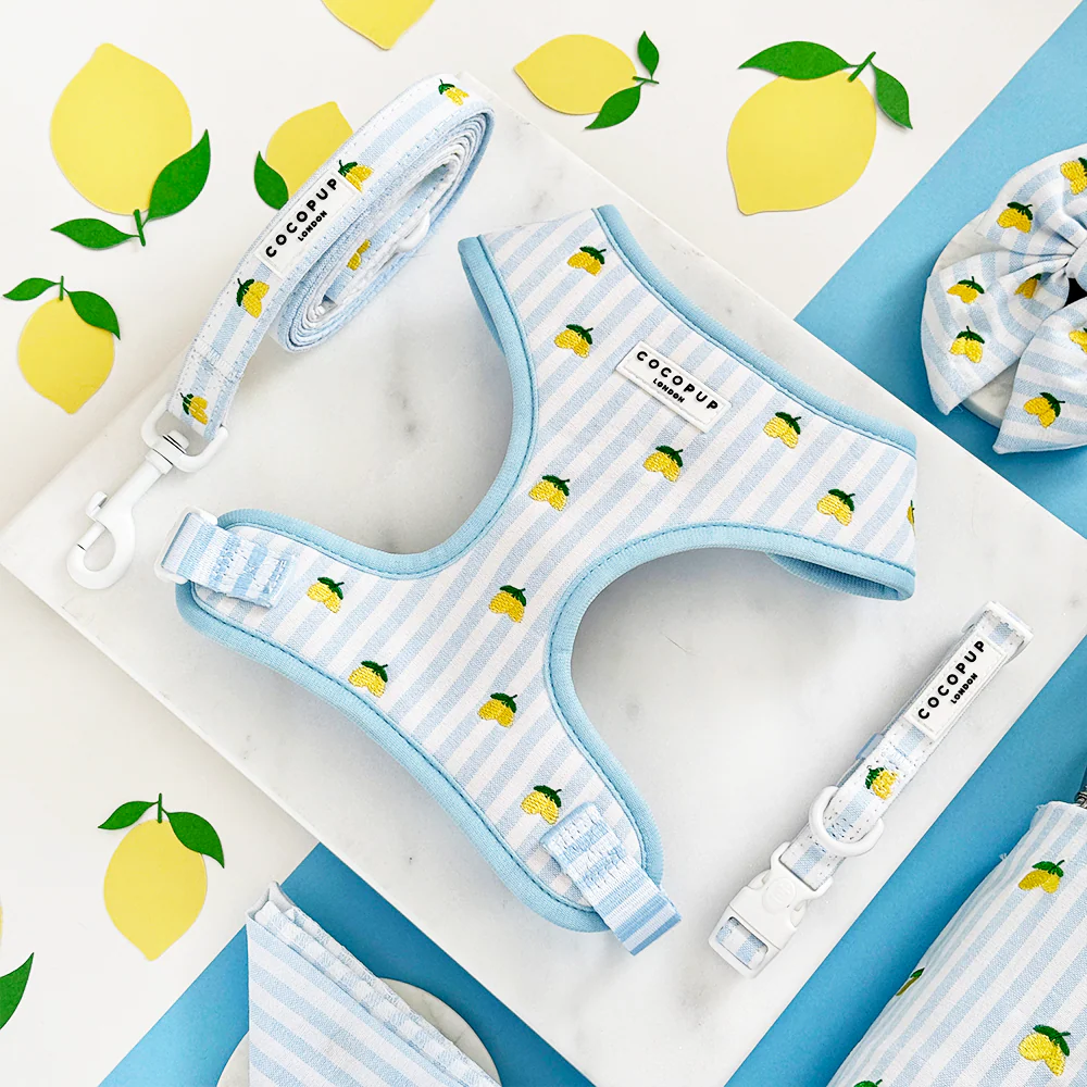 Living La Vida Lemon Adjustable Neck Harness, Lead & Collar Bundle - Image 2