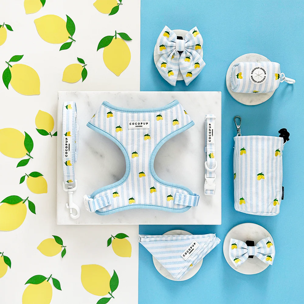Living La Vida Lemon Adjustable Neck Harness, Lead & Collar Bundle - Image 7