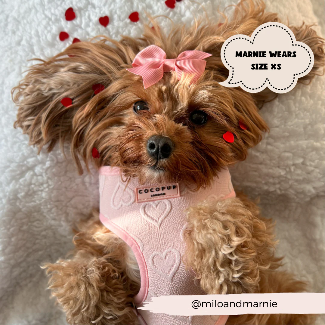 Luxe Baby Pink Heart Adjustable Neck Harness, Lead & Collar Bundle - Image 11