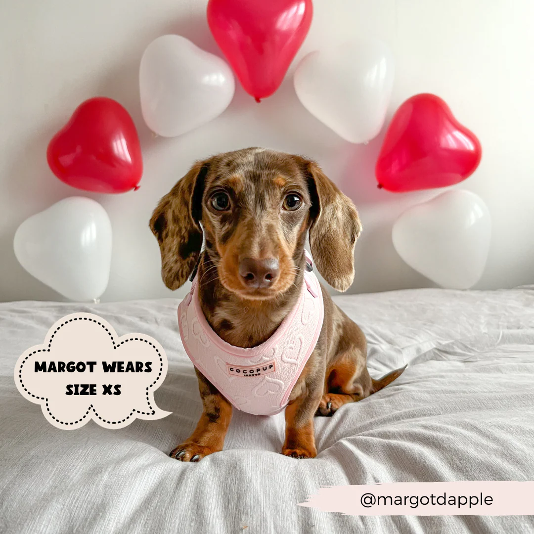 Luxe Baby Pink Heart Adjustable Neck Harness, Lead & Collar Bundle - Image 7