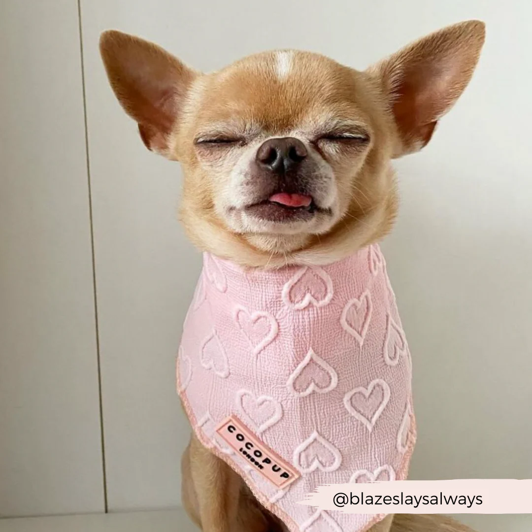 Baby Pink Heart Bandana - Image 4