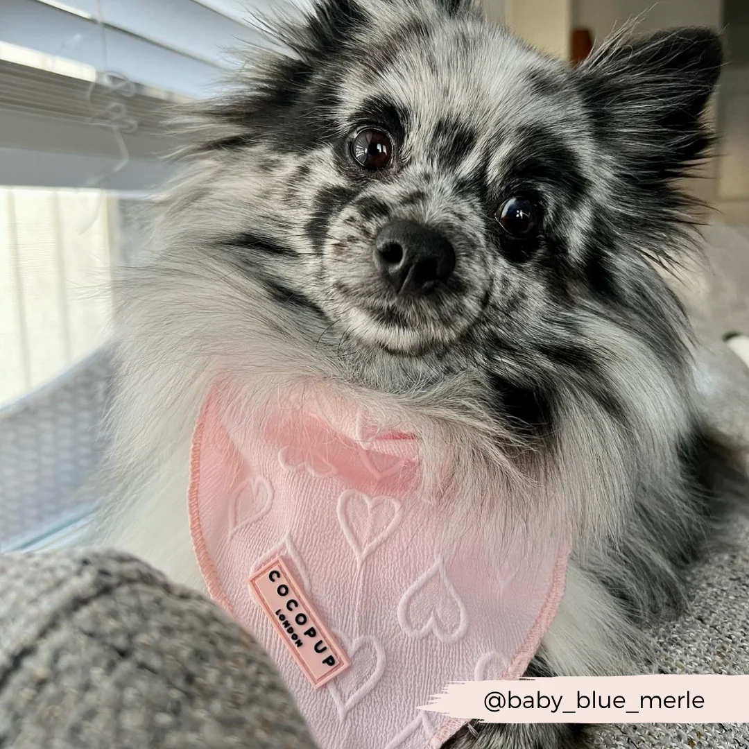 Baby Pink Heart Bandana - Image 5