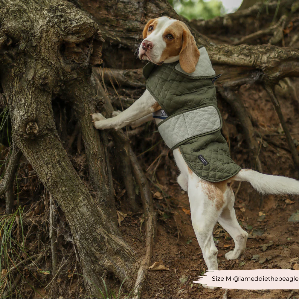 Quilted Dog Coat - Country Khaki - Image 15