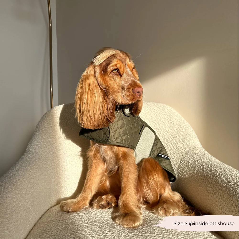 Quilted Dog Coat - Country Khaki - Image 23