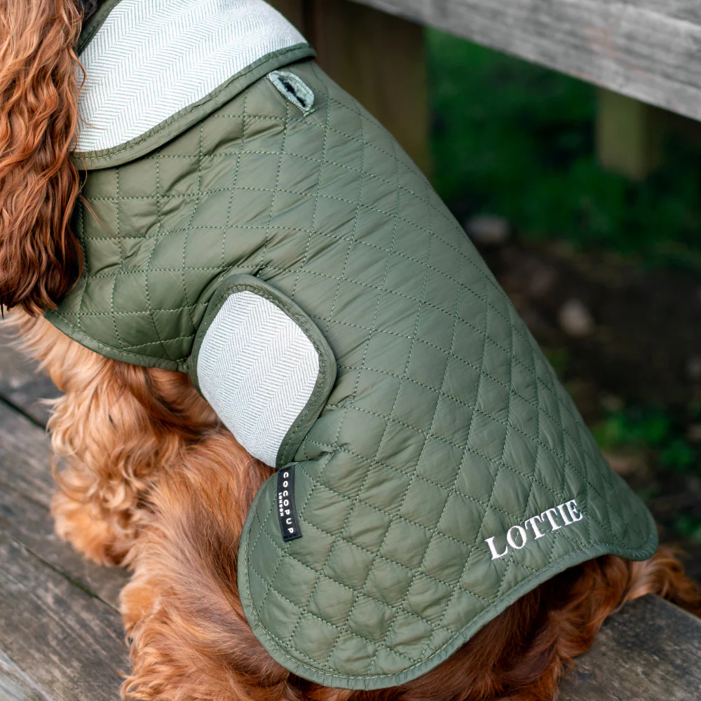 Quilted Dog Coat - Country Khaki - Image 8