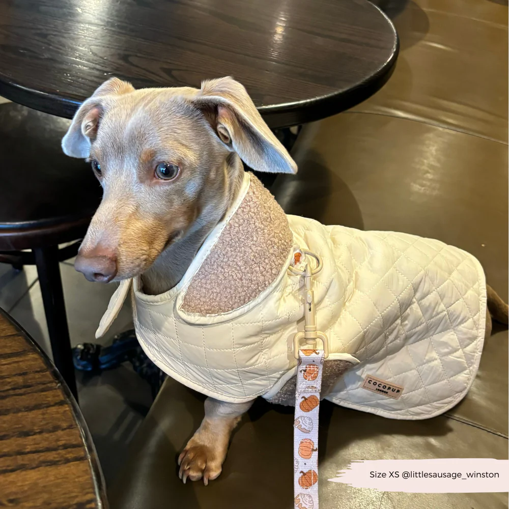 Quilted Dog Coat - Creamy Chai - Image 22