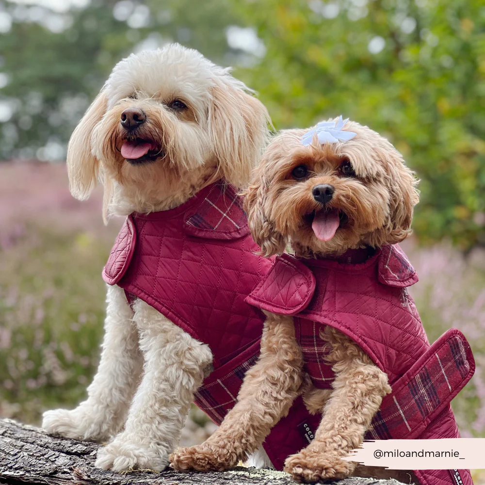 Quilted Dog Coat - Mulberry Plaid - Image 7