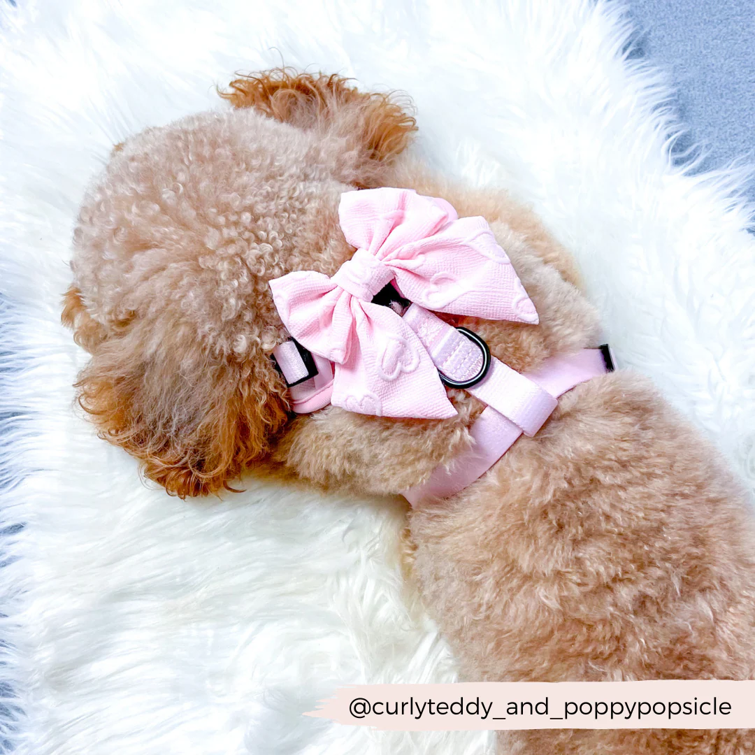 Luxe Sailor Bow Tie - Baby Pink Heart - Image 4