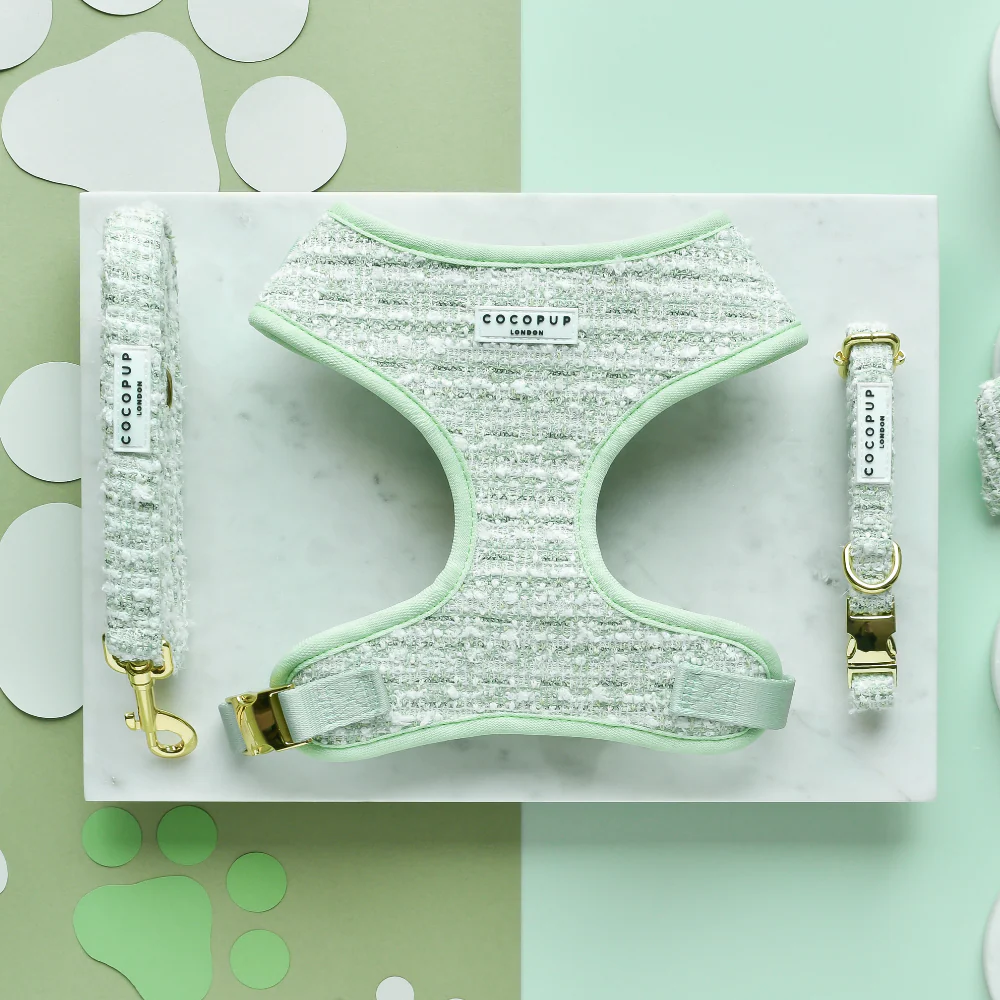 Matcha Textured Tweed COLLAR - Image 3