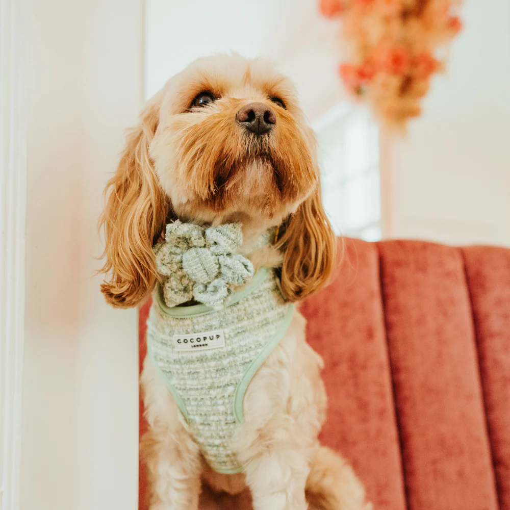 Matcha Textured Tweed Collar Flower - Image 7