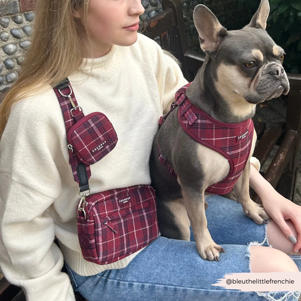 Mulberry Plaid Adjustable Neck HARNESS - Image 11