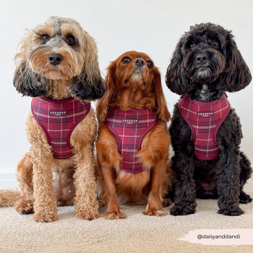 Mulberry Plaid Adjustable Neck HARNESS - Image 8